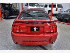Thumbnail Photo 66 for 2003 Ford Mustang